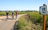Vélo-route Beaune Santenay